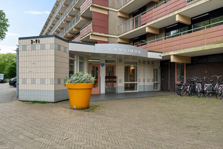 Laveibos 55 in Zoetermeer foto