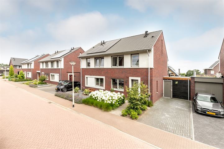 Lavendel 11 in Oost West en Middelbeers foto