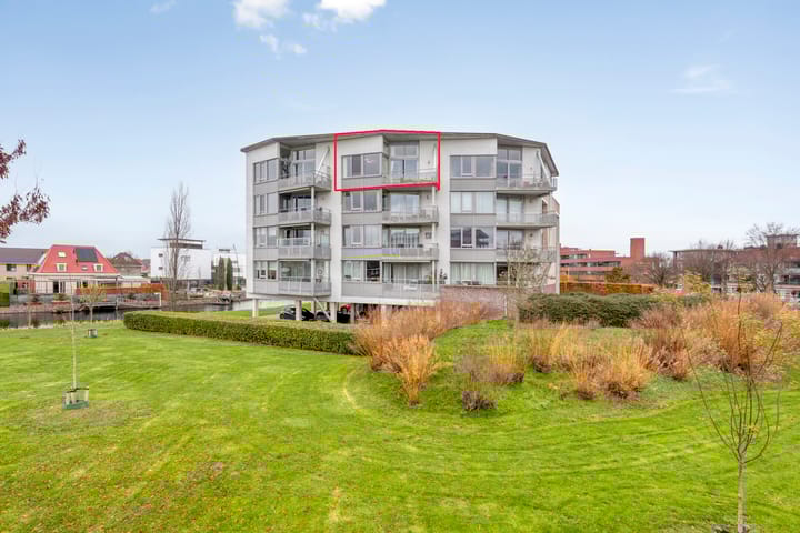 Lavendel 469 in Cuijk foto