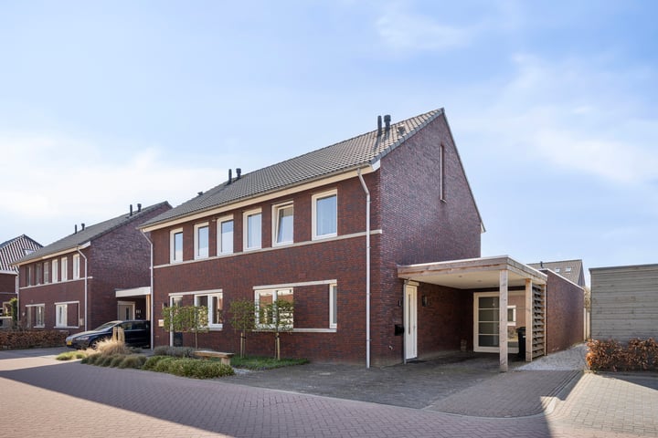 Lavendel 8 in Oost West en Middelbeers foto