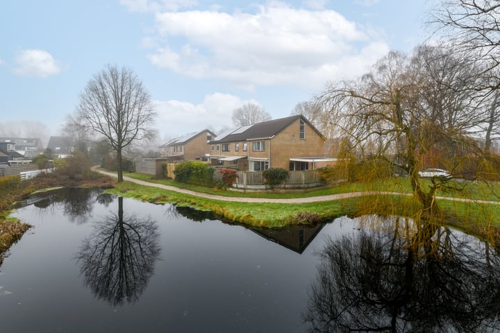 Lavendelheide 1 in Wolvega foto