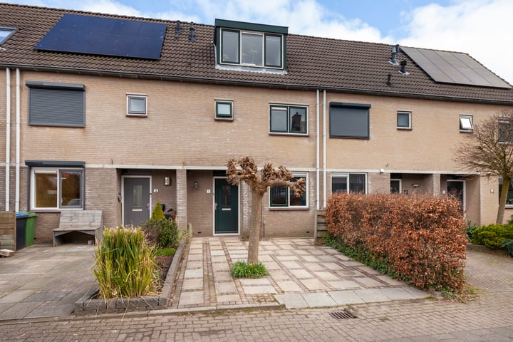 Leermos 5 in Reeuwijk foto