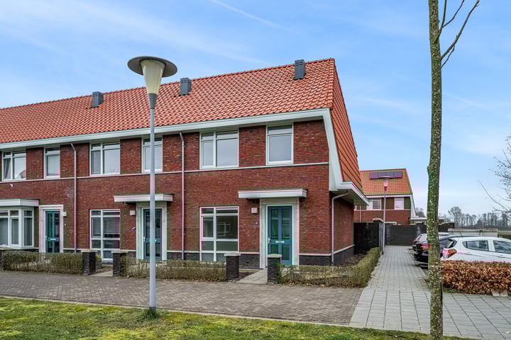 Leeuw 19 in Elst foto