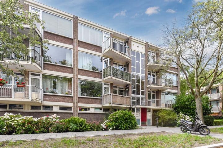 Leeuwerikstraat 53 in Wormerveer