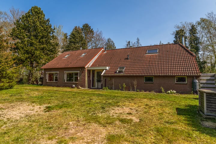Leeuwte 8 in Ruinen foto