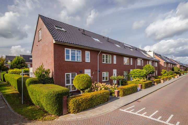 Legioen 29 in Elst foto