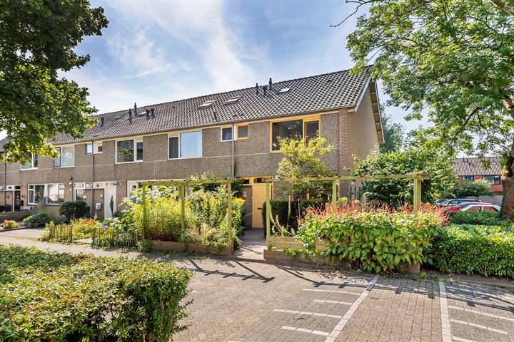 Leigraaf 60 in Druten foto