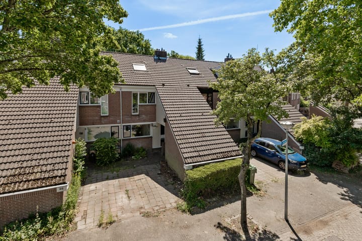 Lekerwaard 50 in Alkmaar foto