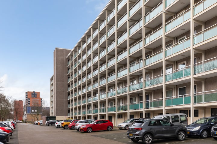 Lepelaarsingel 306 in Vlaardingen foto