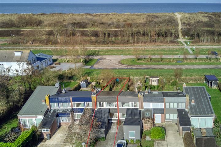 Lepelblad 15 in Nieuwvliet foto