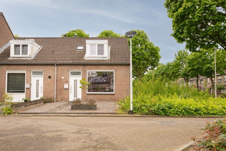 Lepidodendronerf 2 in Heerlen foto