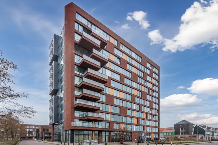 Letterhout 65 in Zaandam foto