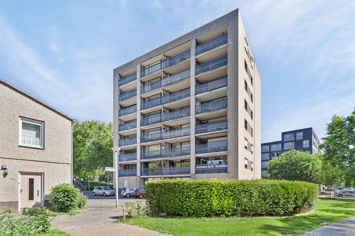 Leugaruwe 3K in Maastricht foto