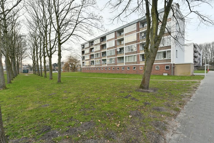 Leverkruidweg 251 in Zaandam foto
