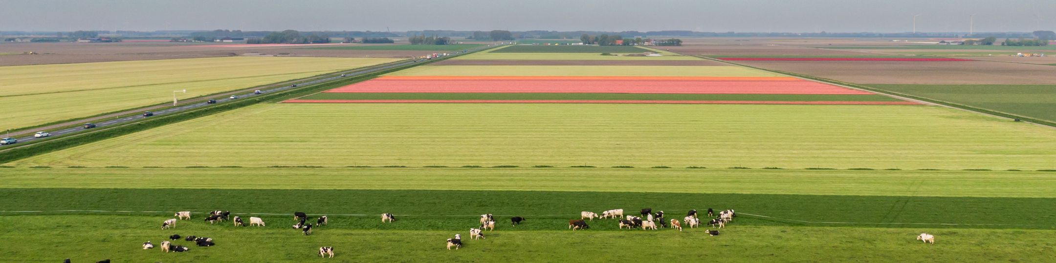 Kantoorfoto Leyten & van der Linde Rentmeester & Makelaardij