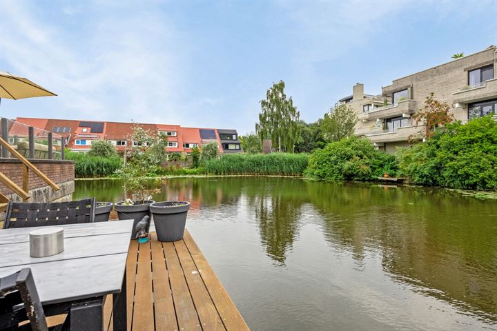 Libellendans 9 in Capelle aan den IJssel foto