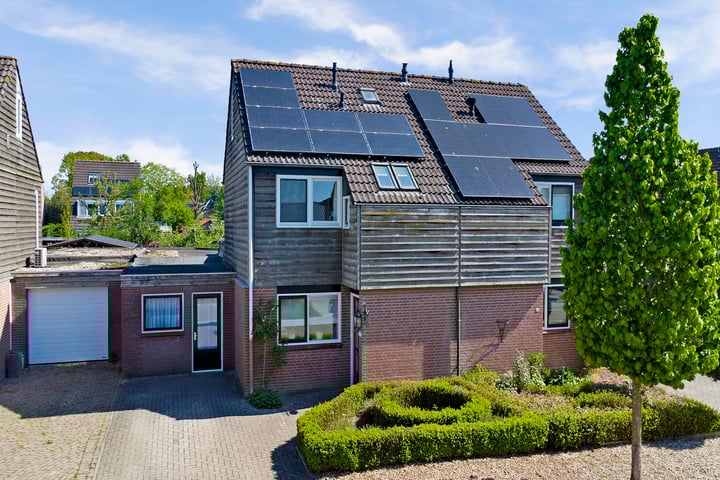 Liesmortel 13c in Sint Agatha foto