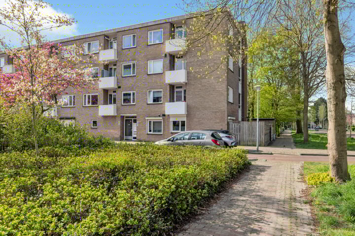 Lievenshof 47 in Alkmaar