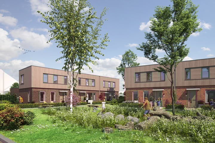 Ligusterstraat 3 in 's-Gravenpolder foto