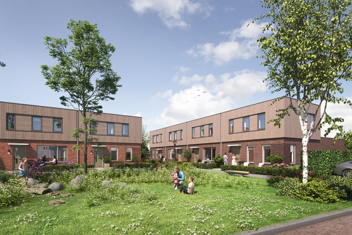 Ligusterstraat 9 in 's-Gravenpolder foto
