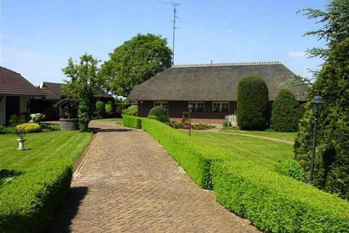 Lijnt 2 in Erp foto