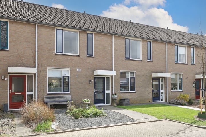 Lijster 10 in Raalte foto