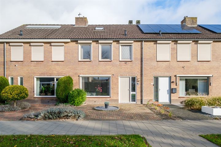 Lijster 30 in Genemuiden foto