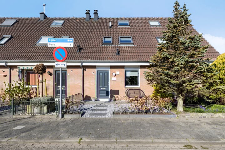 Lijster 9 in Sommelsdijk foto