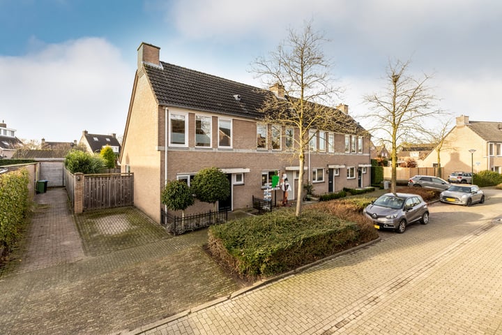 Lijsterbes 1 in Helvoirt foto