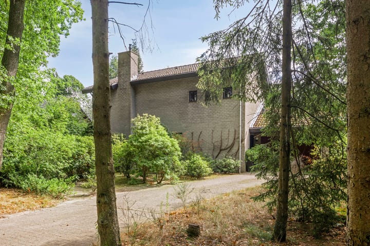 Lijsterbesdreef 27 in Bergeijk foto