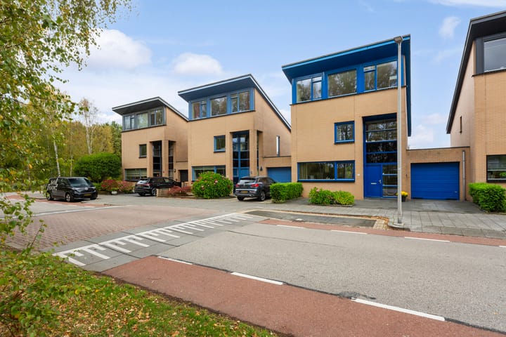 Limes 25 in Poortugaal foto