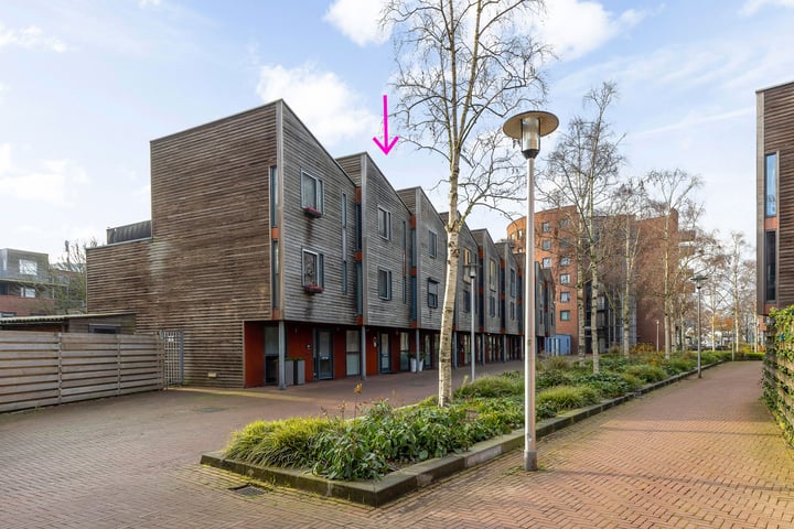 Linie 231 in Apeldoorn foto
