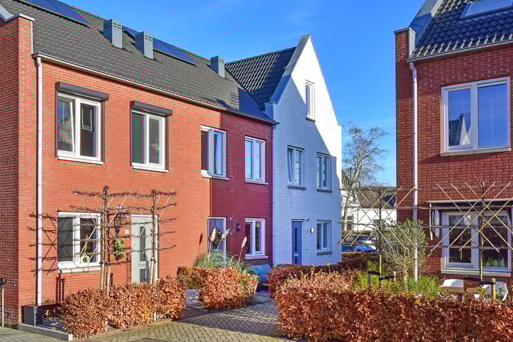 Lion Cachethof 16 in Vreeland foto