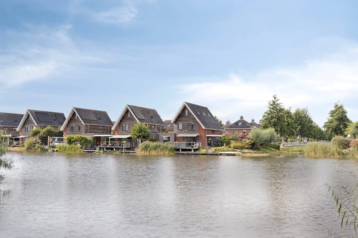 Lisdodde 1 in Meppel foto