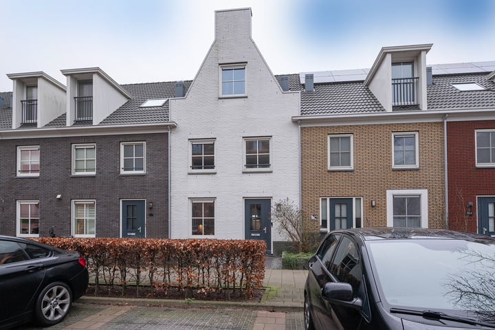 Lisdodde 168 in Alphen aan den Rijn foto