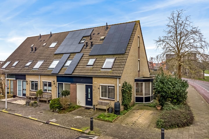 Lisdodde 2 in Maasland foto
