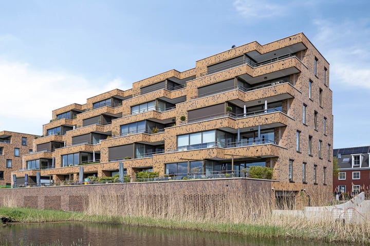 Lisdodde 213 in Alphen aan den Rijn foto