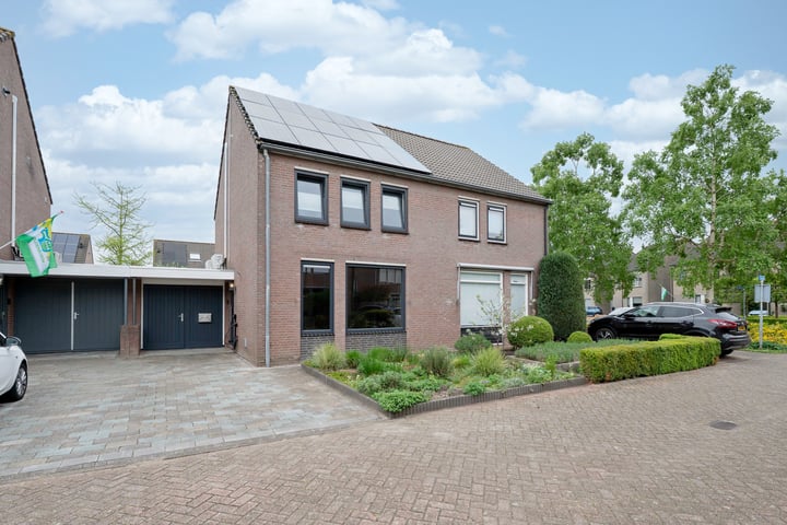 Lisdodde 4 in Oudenbosch foto
