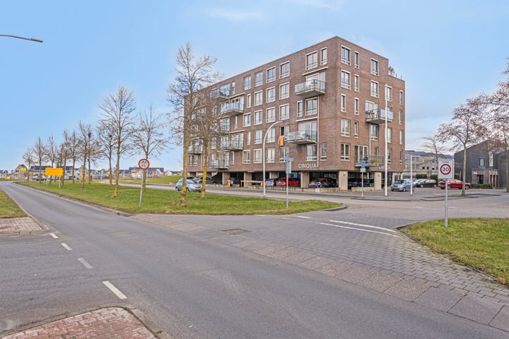 Lisdodde 5 in Zwolle foto