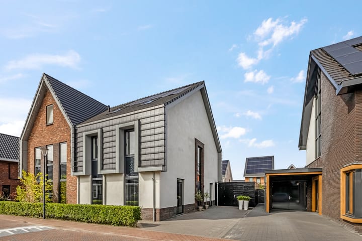 Lisdodde 58 in Veenendaal foto
