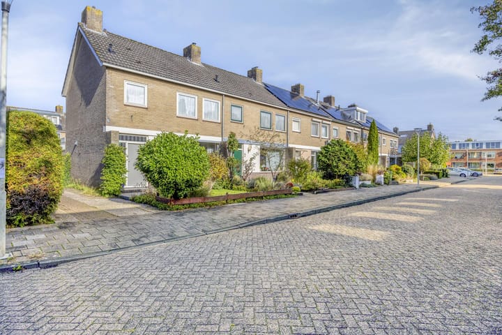 Lisdodde 6 in Kampen foto