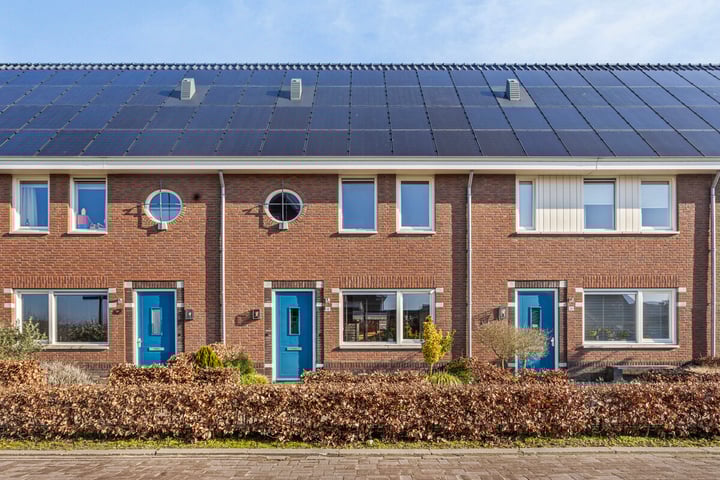 Lisdodde 60 in Vlijmen foto