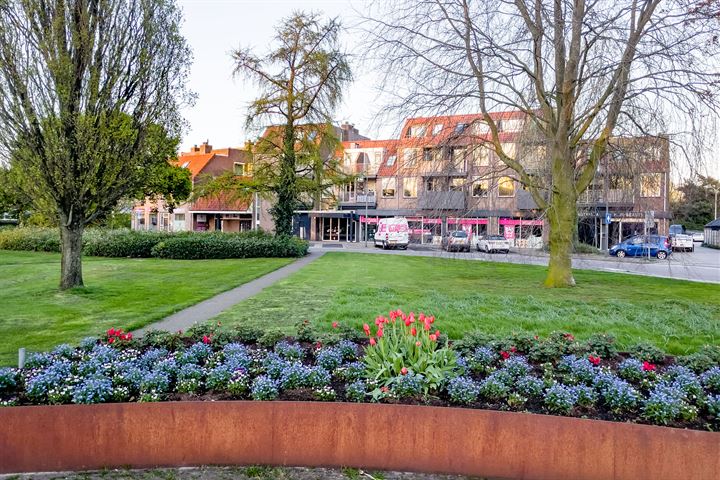 Lisdodde 76 in Almelo foto