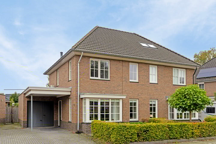 Lisdodde 9 in Nijverdal foto
