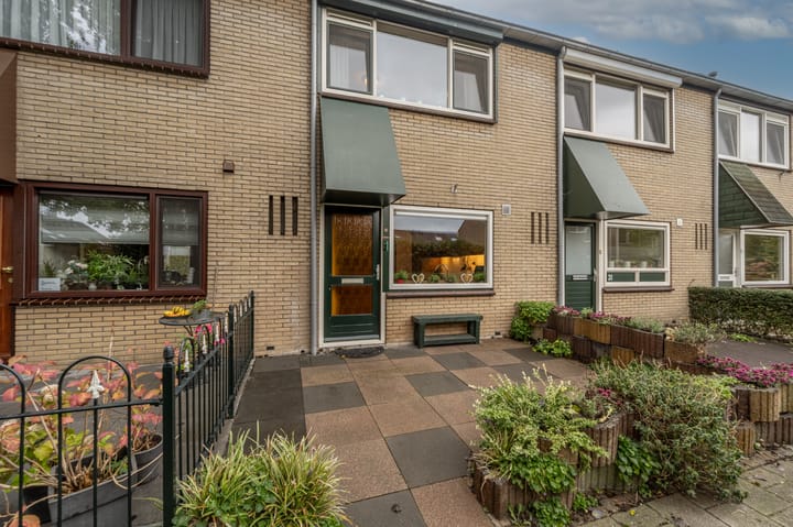 Lisgors 30 in Mijnsheerenland foto