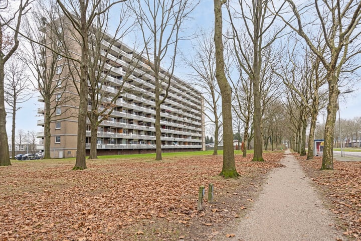 Lisztgaarde 198 in Oss foto