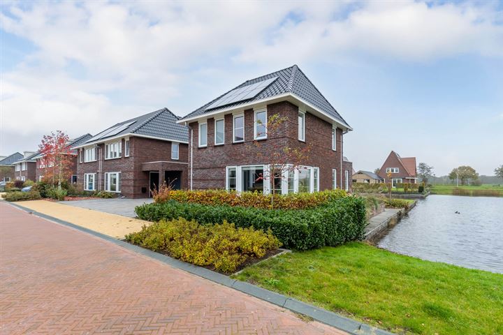 Ljippeblom 2 in Boornbergum foto