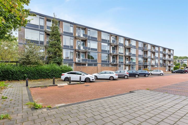 Lobeliaplein 13C in Spijkenisse foto