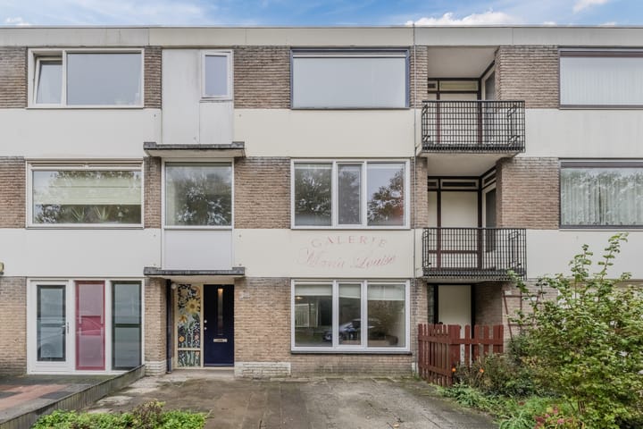 Lodewijk Napoleonlaan 101 in Oosterhout foto