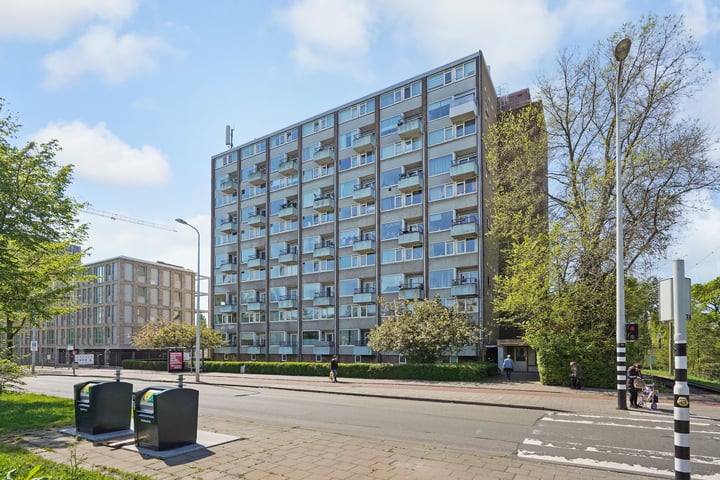 Loevesteinlaan 899D in 's-Gravenhage